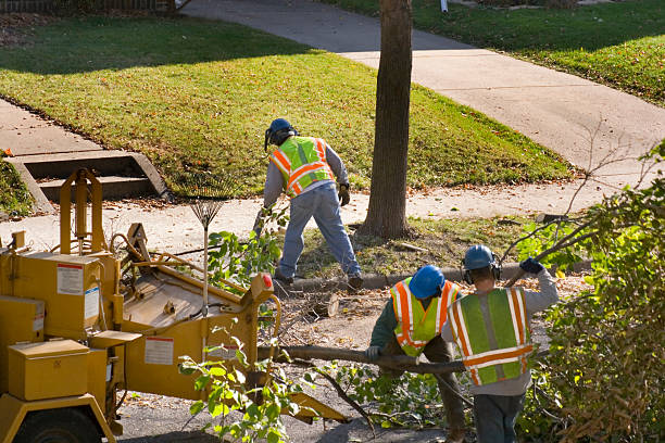 Soil Testing and Treatment in Schertz, TX